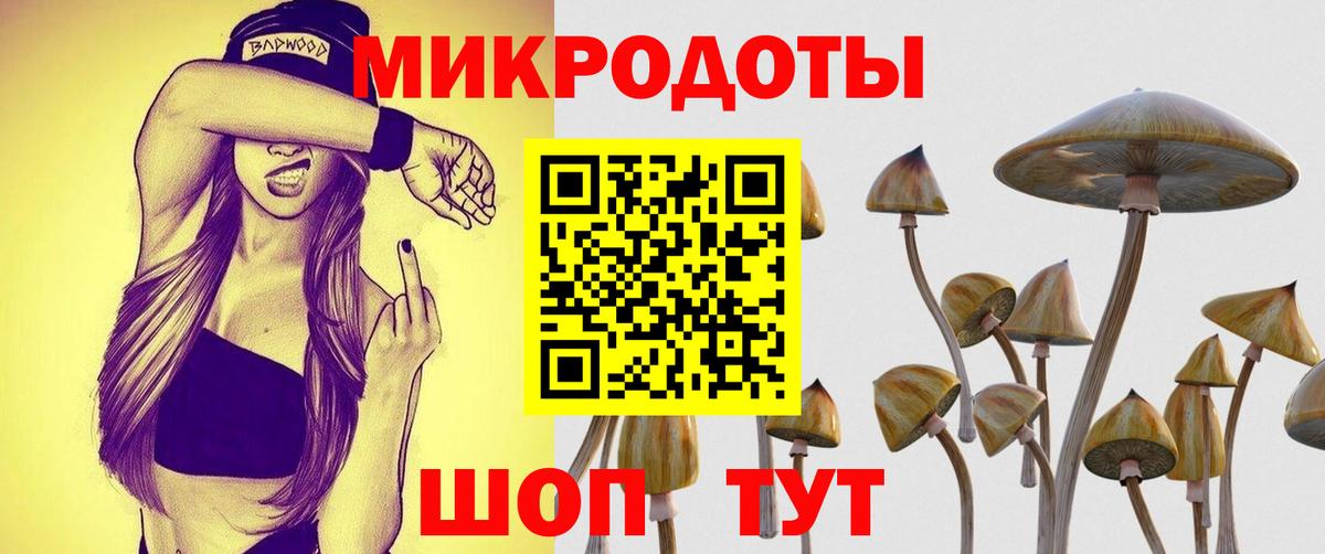 Псилоцибиновые грибы Psilocybe  Галлюциногенные грибы Psilocybe  Советск  Вход с VPN 