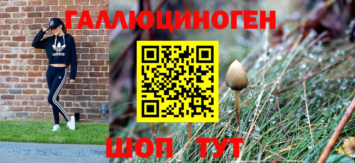 Псилоцибиновые грибы прущие грибы Советск